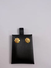 Load image into Gallery viewer, 18K  Screw Type Earrings
